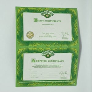 Cabbage Patch Kids Birth Certificate and Adoption 1997