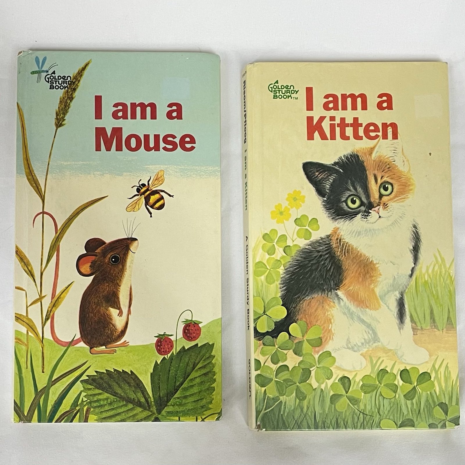 Golden Sturdy Book Lot - Kitten (1970) and Mouse (1964)