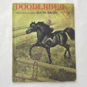 Doodlebug 1977 hardcover